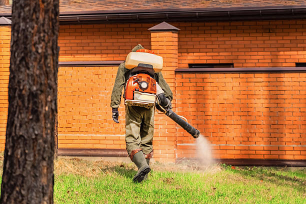 Trusted Rodent Control service in South Carthage, TN - Nex Pest Control